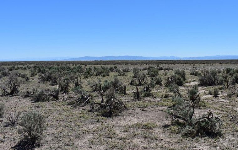 Landowner perspective